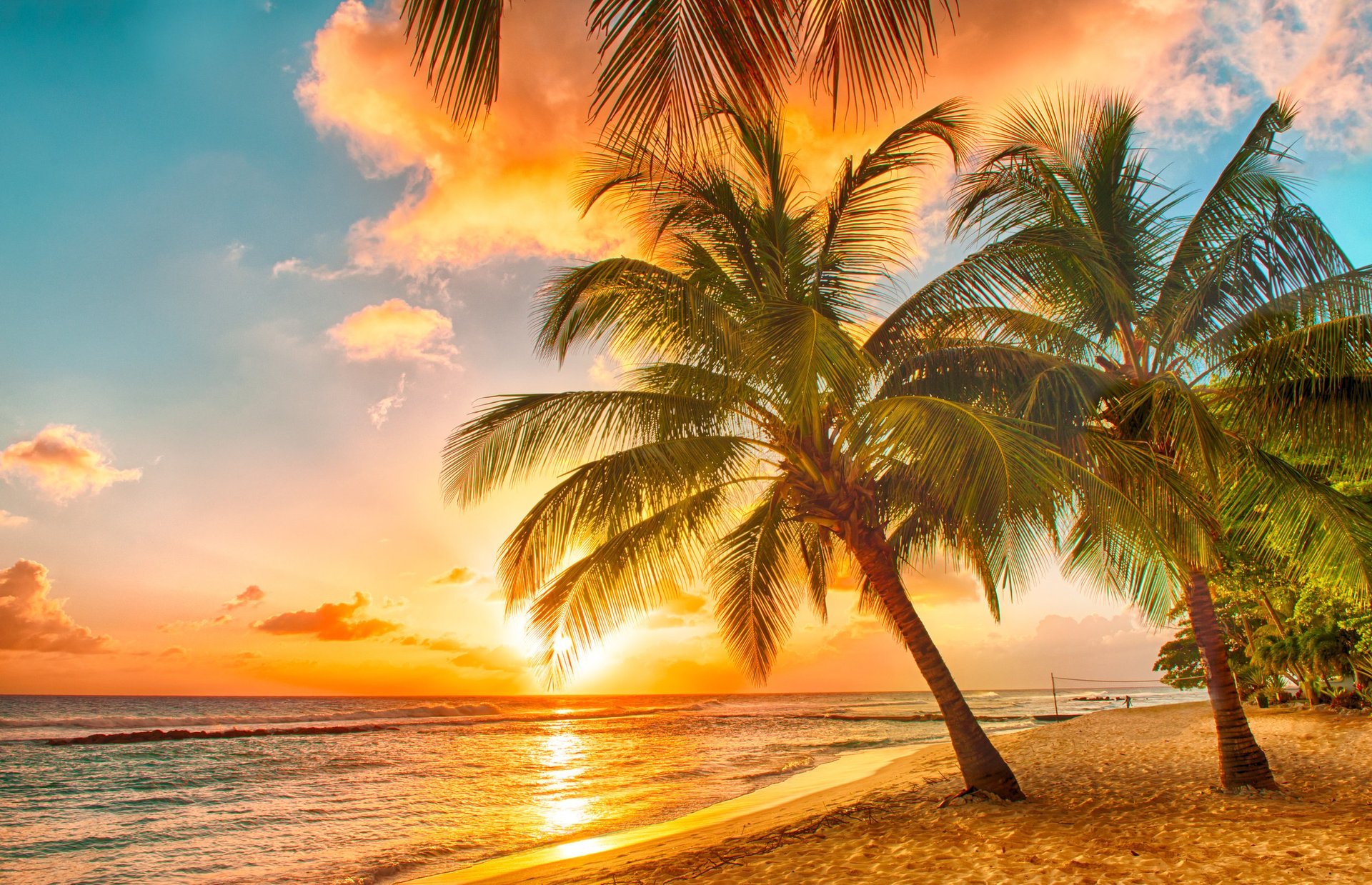 Hawaii tropical beach